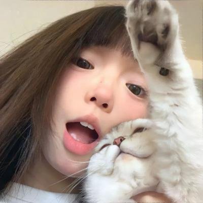 恋情告急